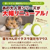 Cat Theater Cat Toy 2024 Rat Wicked Mouse Plus Play
