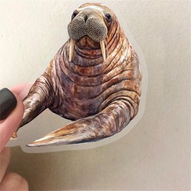 50pcs Marine Organism Transparent PET Stickers for Journaling Supplies, Lovely Sea Fish Sticker for Scrapbooking, Aesthetic Sea Animals Decor for Junk Journal Bullet Journals (SEA-PET)