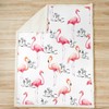 Flamingo Sherpa Blanket for Sofa Bed Couch Tropical Flamingo Pattern