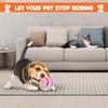 IFurffy Peppy Pet Ball for Dogs, Interactive Dog Toy Durable
