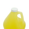 Glass Gleam Solar - Solar Panel Cleaner - Highly Concentrated