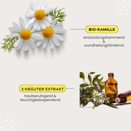 Kamill Hand & Nail Cream Herbal (3 x 100 ml) – Nourishes & Protects with 5 Herbal Extract & Vegan Ingredients Pack of 3