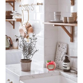 Farmhouse Decor Kitchen Sink Scrubby Holder Ceramic - With Nylon Dish Scrubber (Red Apple)