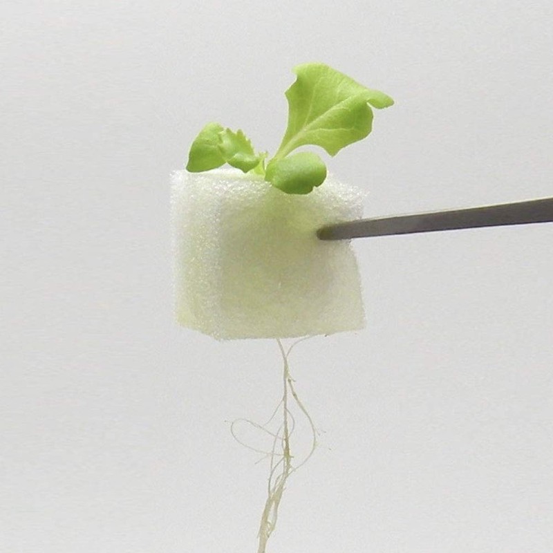 Living Farm Leaf LFS-025 Hydroponic Cultivation Seedling Making Kit