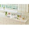 gotman Airtight Food Storage Containers (155.5 OZ) | Lid With