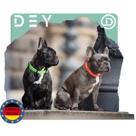 DEY - Premium Nylon Dog Collar | Adjustable | for Small and Large Dogs | Many Colours and Sizes | Dog Collar Dog Cat Puppy | Dog Collars | Cat Collar | Puppy Collar | Black, S