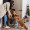 Smart Door Lock, Door Handle with APP Unlock, Biometric Door