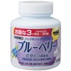 MOSTチュアブル　ブルーベリー
