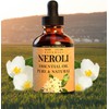 Neroli Essential Oil (1 oz), Premium Therapeutic Grade, 100% Pure