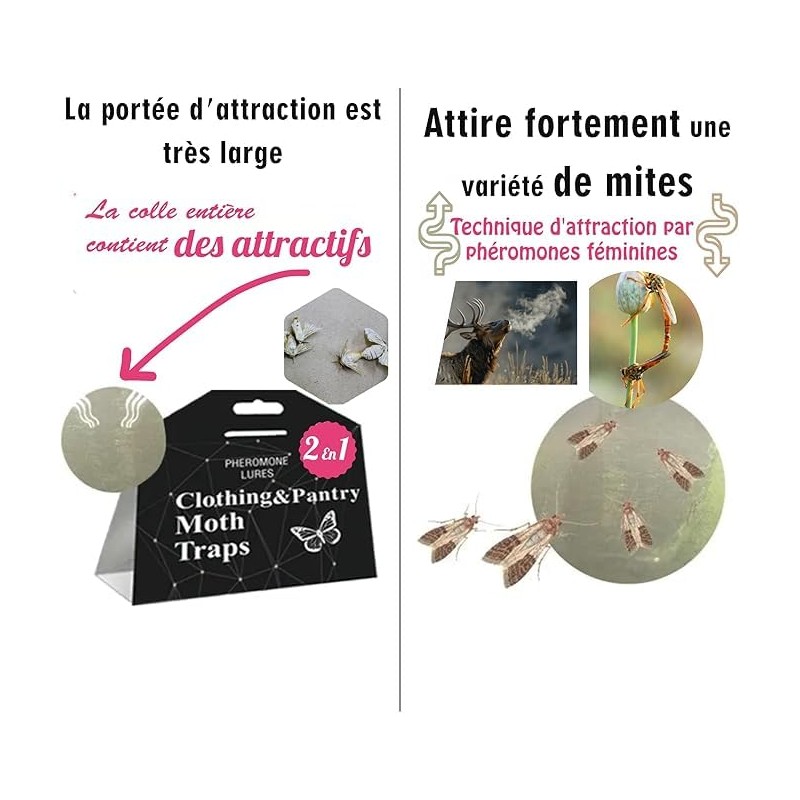 Générique Double Action Moth Trap - Food and Clothing -