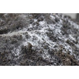Compost Tea Recipe...The Secret to Success, Ready to Brew: LiFeCuBe Compost Tea: 8lbs (Approx. 32 Cups)