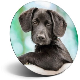 Destination Vinyl ltd Magnet for Refrigerator, Fridge - Cute Black Puppy Labrador Dog for Office, Cabinet and Whiteboard, Magnetic Stickers, 14856