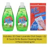 Basics Brillo Basics Green Apple Dish Soap (2-Pack) + Wipes