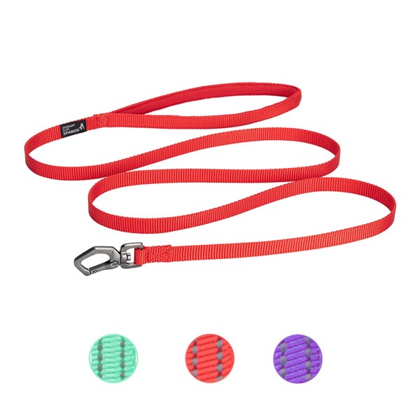EXCELLENT ELITE SPANKER Nylon Dog Leash Basic Style 5 Feet