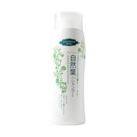 Green Note Natural Leaf Shampoo, 10.1 fl oz (300 ml) x 2 Packs