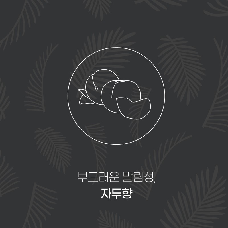 밀레니엄 태닝 페인트 잇 비욘드 블랙 100XXX 태닝로션 Millennium Tanning
