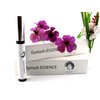 essence EYELASH SERUM (3ml, 3 Month Supply) – Eyelash Growth