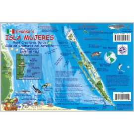 Isla Mujeres Mexico Map & Reef Creatures Guide Waterproof Fish Card Franko Maps