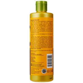 Alba Botanica Drink It Up Coconut Milk Hawaiian Shampoo, 12 oz. (Packaging May Vary)