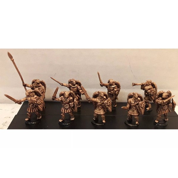 Battle Valor Games 15mm Fantasy Falconian Swordsmen with Shields (16