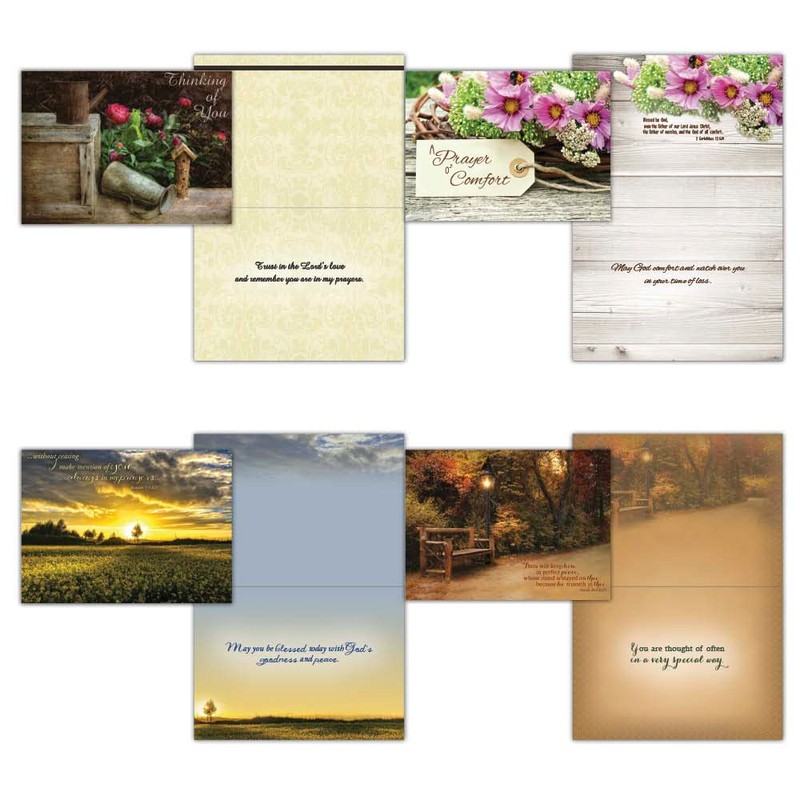 Shared Blessings 48 All Occasion Cards Value Pack 2, King