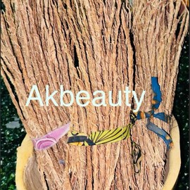 Khamare- vetiver Africa Aromatic soft smell - Scent: Long one