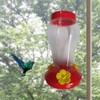 Humming Birds Feeders for Outside - Decorative Birdfeeder with Hanging