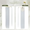 Benehair Long Straight Ponytail Hairpiece, Synthetic Hair Extensions, Braid Hair