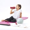 Laica MyLaica 0.5 Litre Stainless Steel Filter Sports Bottle, Red