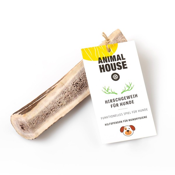 Animal House Split Deer Antlers for Dogs - 100% Natural Chew Snack - Strengthens Oral Hygiene - Resistant and Durable - Available in All Sizes (S)