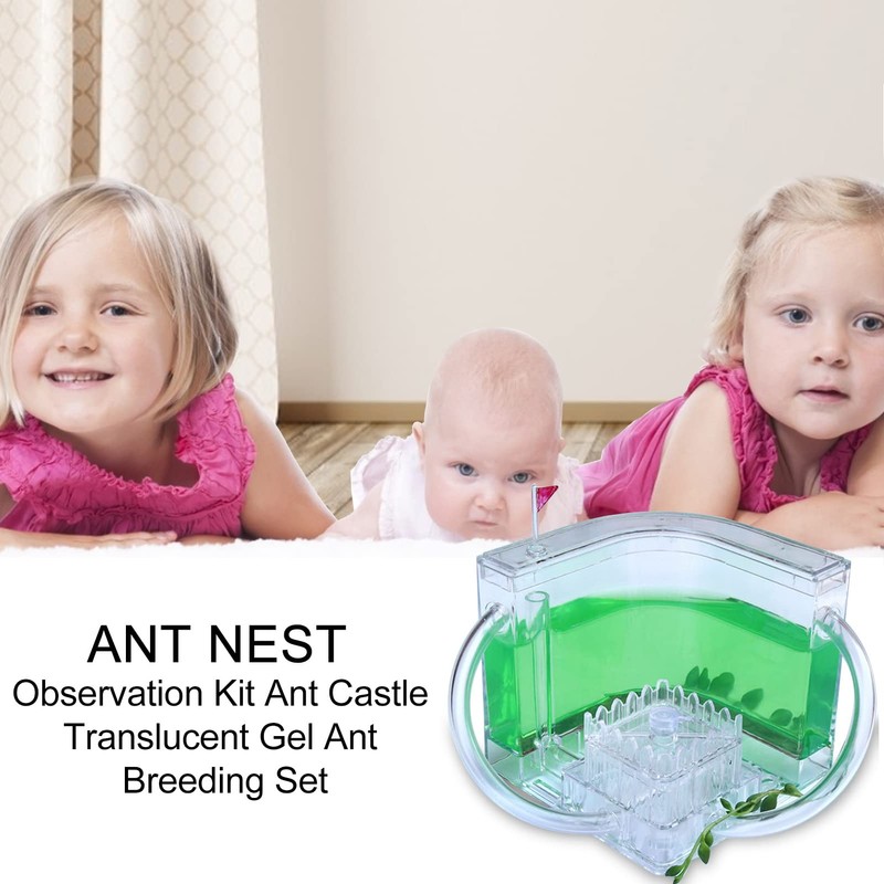 Sand Ant Farm - Habitat Educational & Learning Science Kit