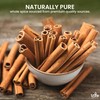 Fusion Select 16 Oz Cinnamon Sticks - Whole Canela Bark