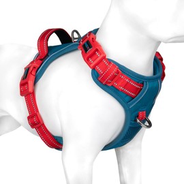 PHOEPET No Pull Dog Vest Harness, Adjustable, Reflective, Non-Choking Pet Harness with Easy to Use Handle and Metal Clips for Dogs (Teal Base & Red Straps, S