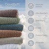 SKL Home Cloud Soft 4 Pc Bath Towel Set, Sage