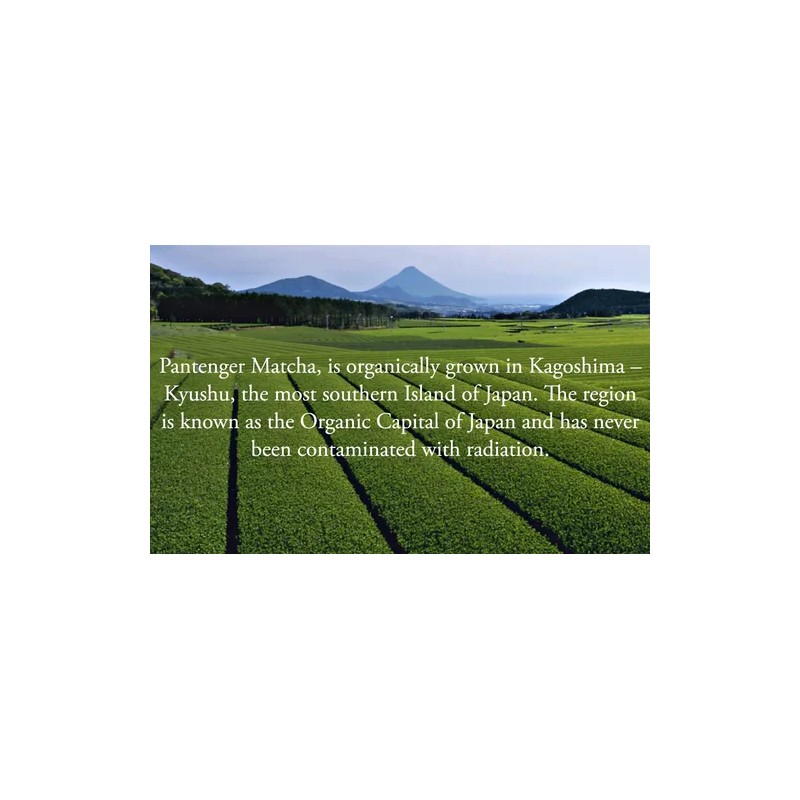 Pantenger Té Verde Matcha Orgánico en Polvo 99 G Organic