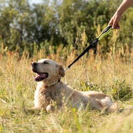 Ferplast Short Dog Lead ERGOFLUO, Large Dog Lead, Ergonomic Padded Handle, Length 55 cm x 2.5 cm, Yellow