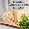 Natürlicher Luffa-Schwamm (2er-Pack) – Loofa-Peeling-Schwamm, ein Körperpeeling-Schrubber für Dusche und