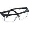 Safety Goggles Professional Protect "