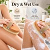 Natural Boar Bristle Body Brush – Wooden Bamboo Dry &