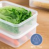WonLiq Lettuce Keeper, Salad Keeper Container Lettuce Crisper, Keep Vegetables