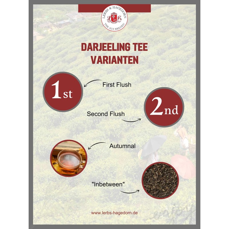 Lerbs & Hagedorn, Darjeeling Second Flush TGFOP Margaret's Hope |