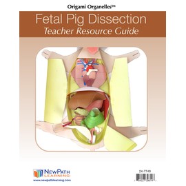 NewPath Fetal Pig Dissection 3-D Model Making Kit, Set/5 Full-Color, Paper Model Templates & Teachers Guide (24-7740)