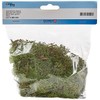 Glorex Iceland Moss, 50 G, Dark Green 7610877290294