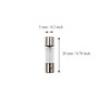 SIXQJZML 10 Pack F2AL Fast-Blow Fuse 2A 250V Glass Fuses