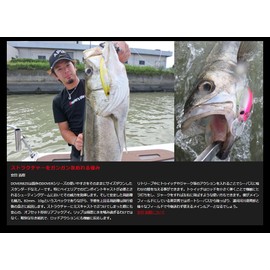 Apia Minnow Dover 82S #11 CH Mojito Lure