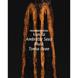 Vanilla Verve Essentials Set - Includes Sensorial Body Wash, Nutrient-Rich Body Cream, Perfume Oil