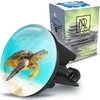 M. ROSENFELD HOME Universal Sink Plug 40 mm with Turtle