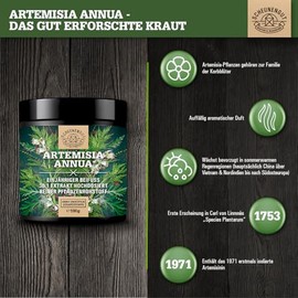 Artemisia Annua Extract Powder, 21% Artemisinin, Important: 30:1 Extract (= 3000 g Pure Artemisia Annua), One-Year Mugwort, High Dose from Germany, 100 g SCHEUNENGUT