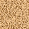 11/0 Cylinder Seed Beads - Op Pear - DB1131 5 Gramsq