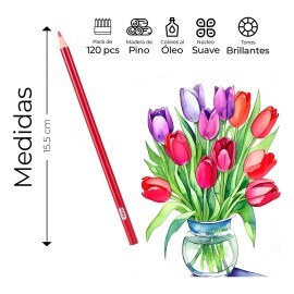 Juego De Lapices Para Dibujar Pintar De Colores Vibrantes 120 Pz